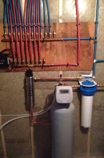 Organized plumbing in the basement